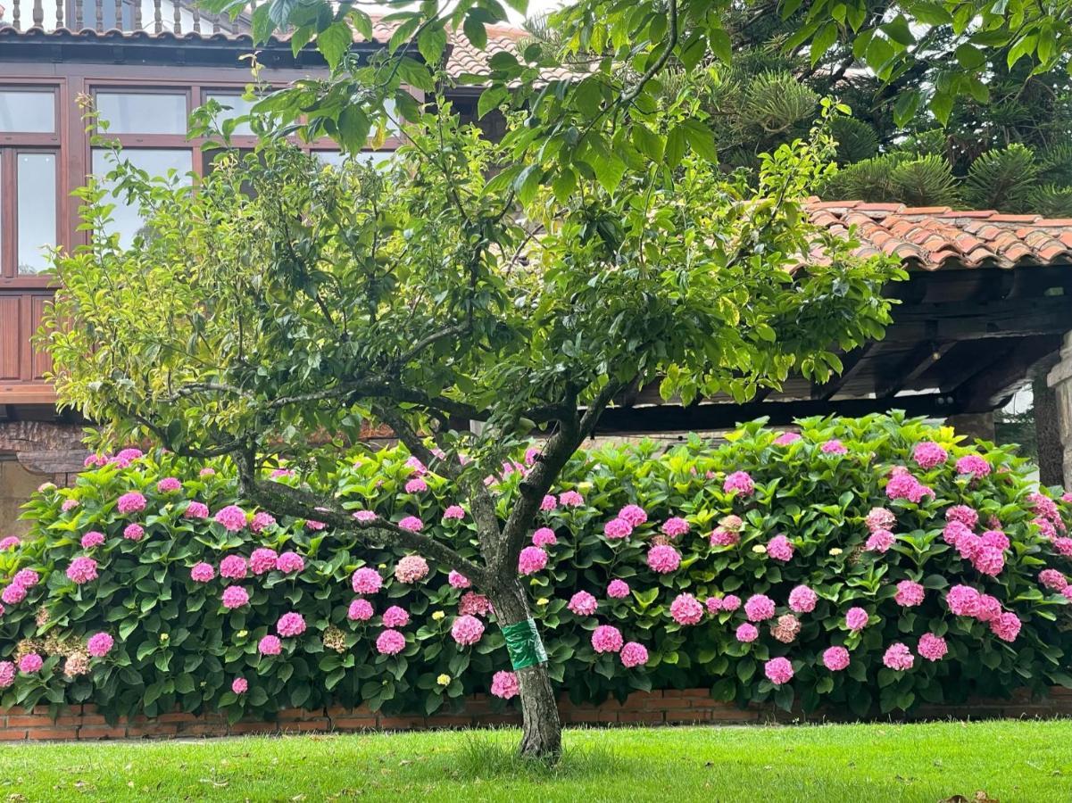 Vila La Solana De Mogro Exteriér fotografie