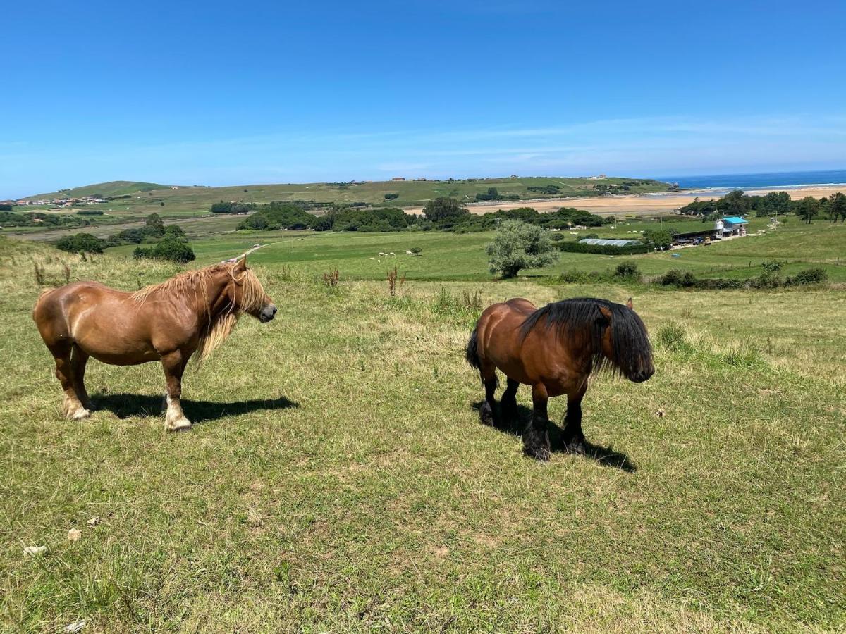 Vila La Solana De Mogro Exteriér fotografie